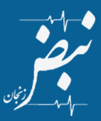 پایگاه خبری نبض زنجان